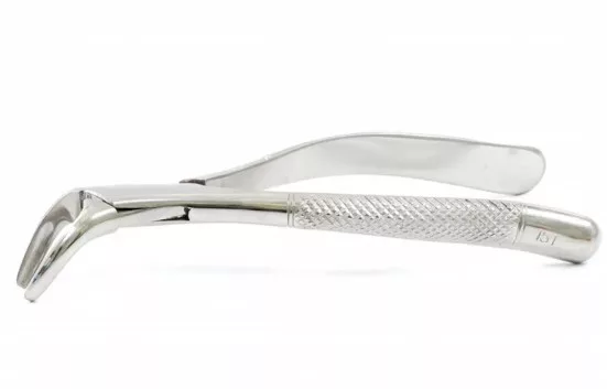 FORCEPS ADULTO ODONT. 151 - GOLGRAN 83-18