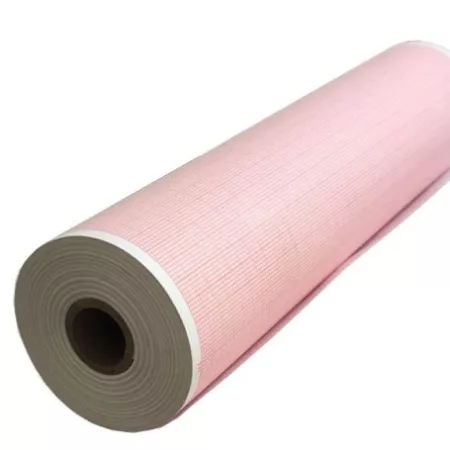 PAPEL TERMO 216MMX30M ECG TECNOPRINT