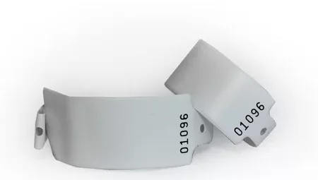 PULSEIRA INDENT. MAE E FILHO HEALTH MED