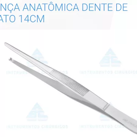 PINCA ANATOM. DENTE DE RATO 14CM ABC 177