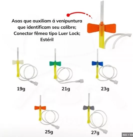SCALP N. 19 PGC SOLIDOR