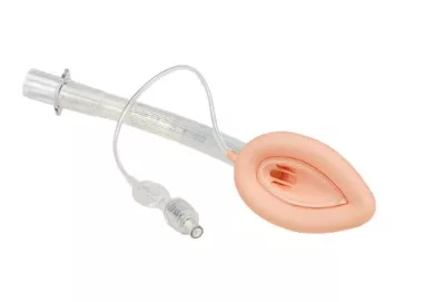 MASCARA LARINGEA N.2,0 PVC - VITALGOLD