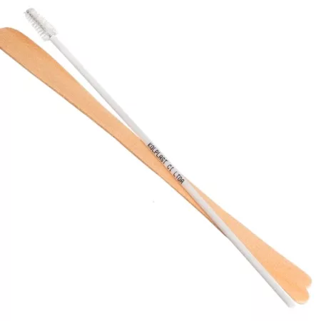 KIT AUXILIAR PAPANICOLAU C/ ESCOVA E ESPATULA KOLPLAST